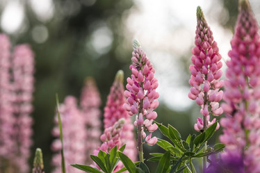 Similar image 21854730