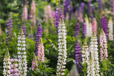 Similar image 21854733