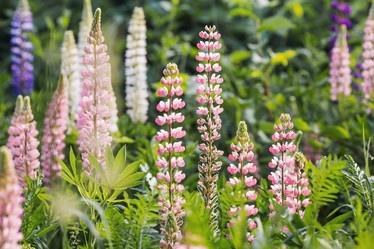 Similar image 21854740