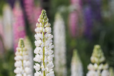 Similar image 21854742