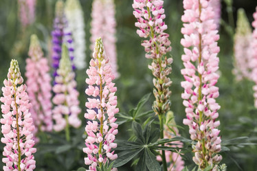 Similar image 21854743