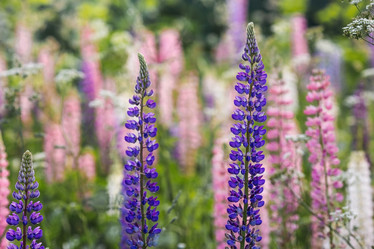 Similar image 21854747