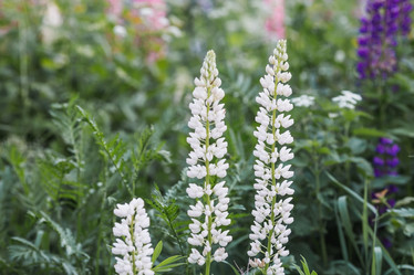 Similar image 21854753