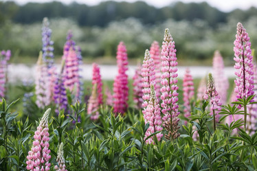 Similar image 21854755