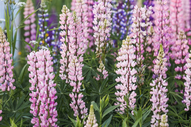 Similar image 21854756