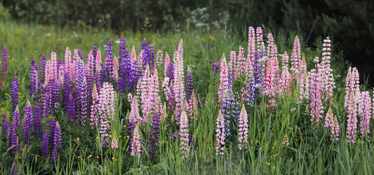 Similar image 21854757