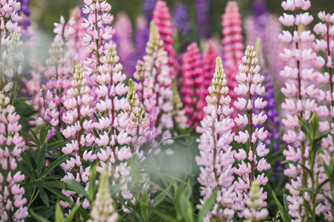 Similar image 21854758