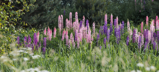 Similar image 21854759