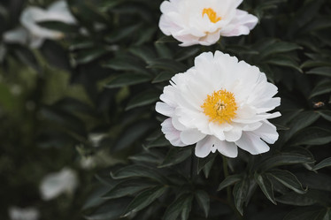 Similar image 21854760