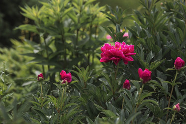 Similar image 21854761