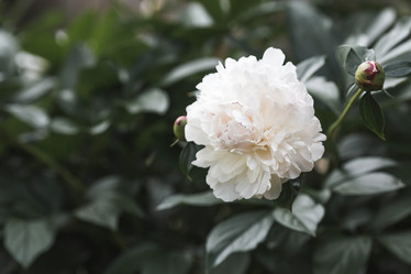 Similar image 21854762