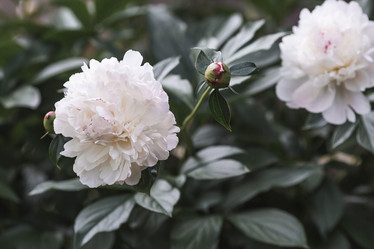 Similar image 21854763