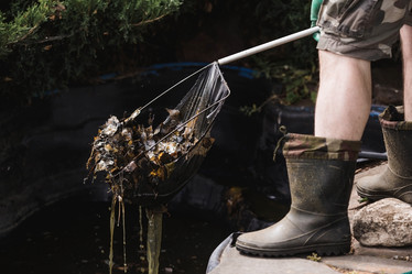 Similar image 21854996