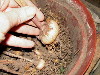 Similar image 21855844