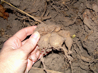 Similar image 21855845