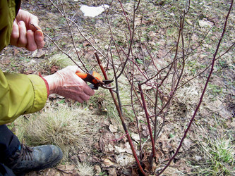 Similar image 21855846