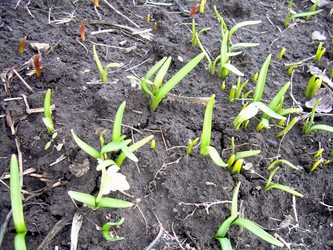 Similar image 21855860