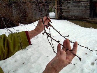 Similar image 21855861