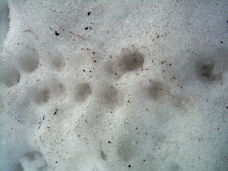 Similar image 21855862