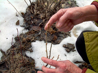 Similar image 21855863