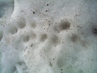 Similar image 21855864