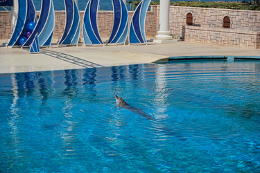 Similar image 21854767