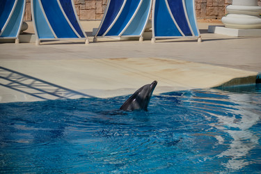 Similar image 21854768