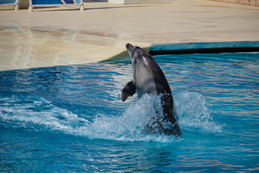 Similar image 21855561