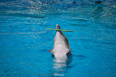 Similar image 21855975