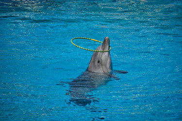 Similar image 21854107