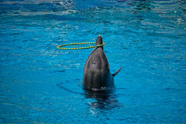 Similar image 21855563