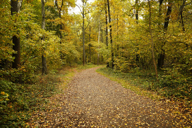 Similar image 21854770