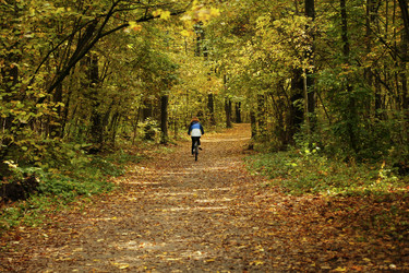 Similar image 21854771