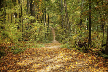 Similar image 21854772