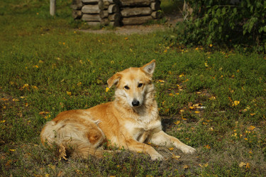 Similar image 21854773