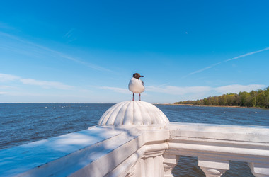 Similar image 21855581