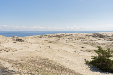 Similar image 21856224