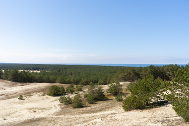 Similar image 21856226