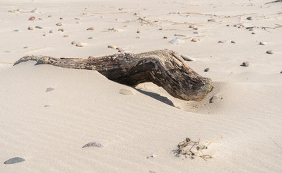 Similar image 21856227