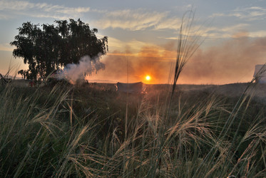 Similar image 21855886