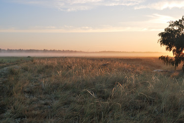 Similar image 21855888