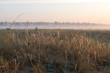 Similar image 21855893