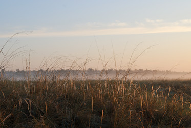 Similar image 21855894