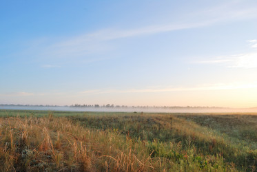 Similar image 21855902