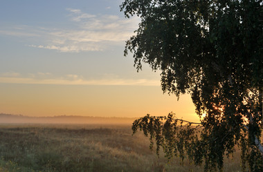 Similar image 21855903