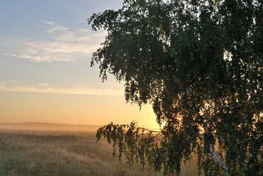 Similar image 21855905