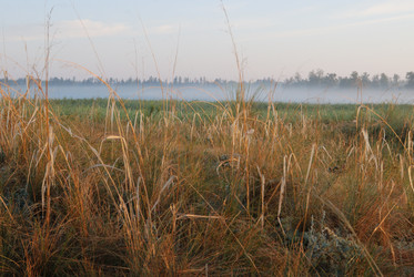 Similar image 21855906