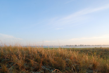 Similar image 21855907