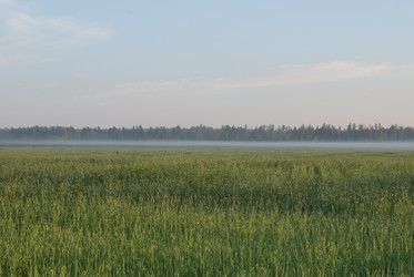 Similar image 21855918