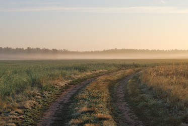 Similar image 21855919